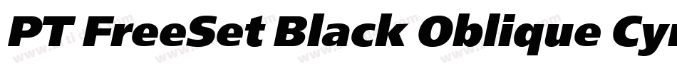 PT FreeSet Black Oblique Cyrillic字体转换
